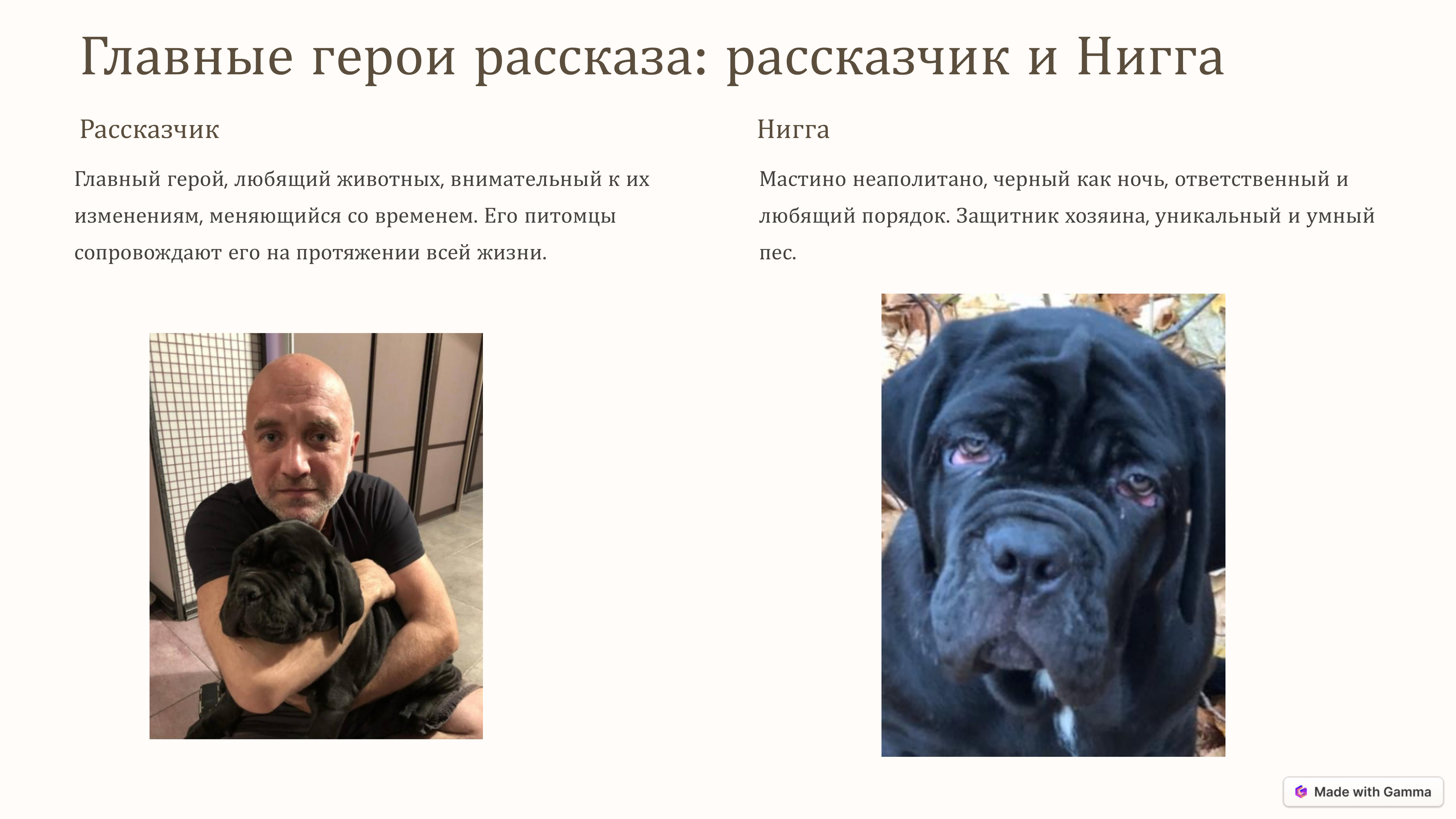 Презентация%20для%20преподавателя 5