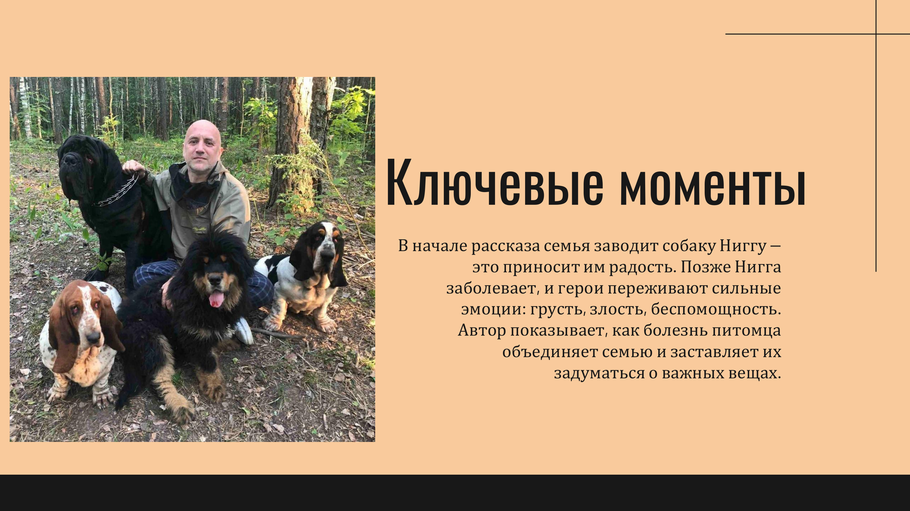 Презентация%20для%20студентов 10