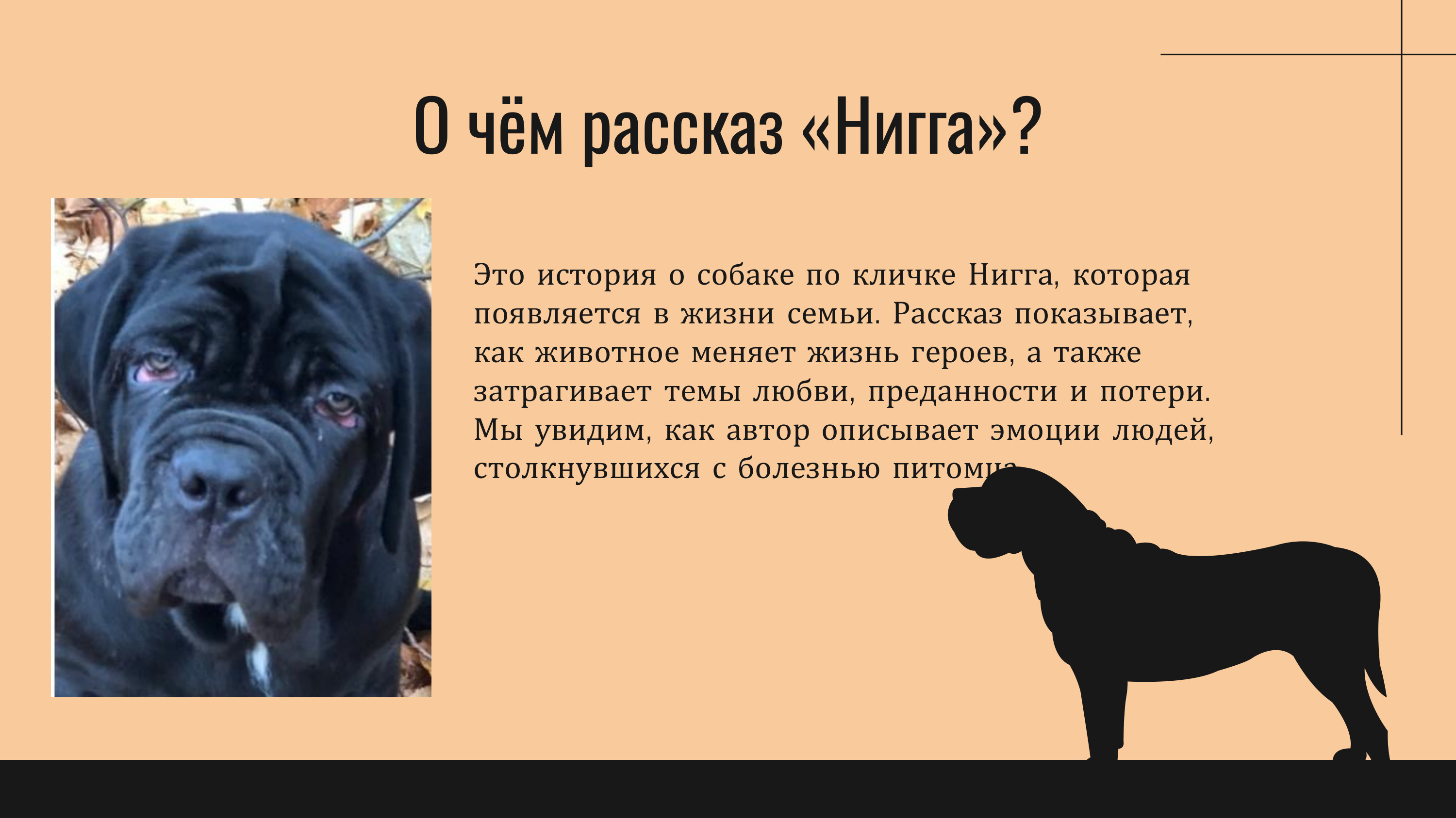 Презентация%20для%20студентов 7